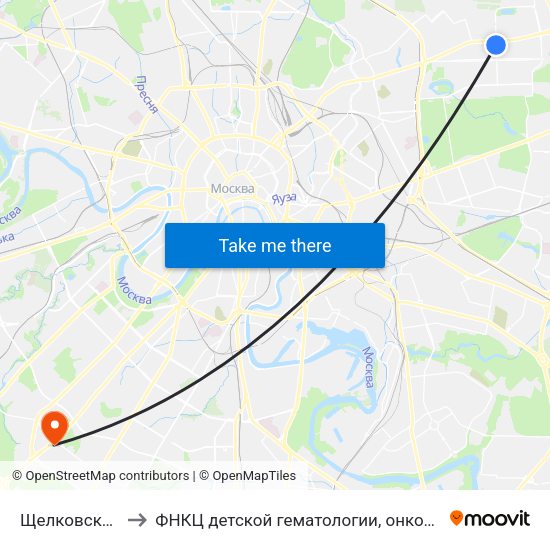 Щелковская (Schelkovskaya) to ФНКЦ детской гематологии, онкологии и иммунологии имени Дмитрия Рогачева map