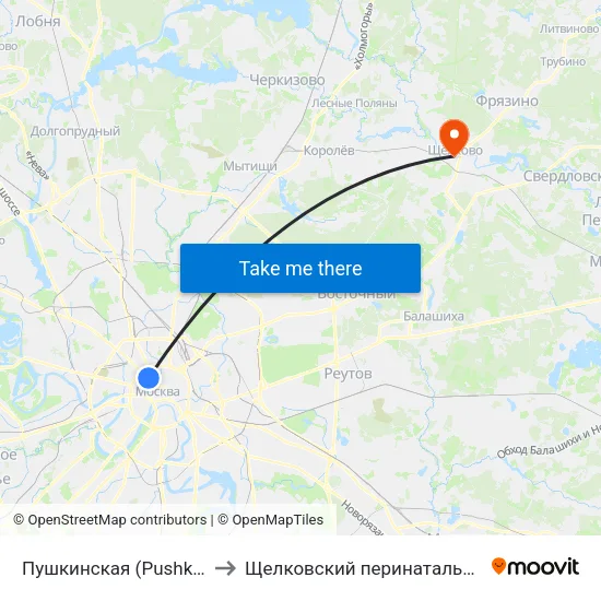 Пушкинская (Pushkinskaya) to Щелковский перинатальный центр map
