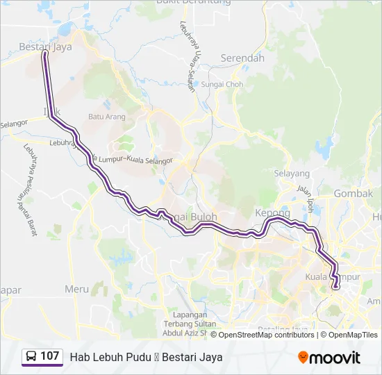 107 Bus Line Map