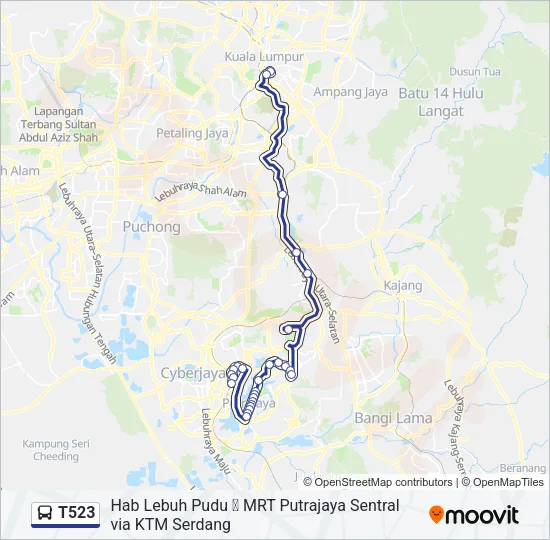 T523 Bus Line Map