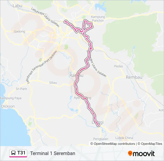 T31 Bus Line Map