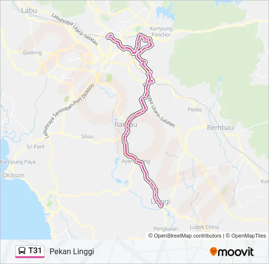 T31 Bus Line Map