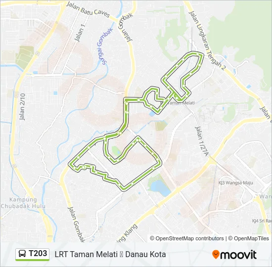 T203  Line Map