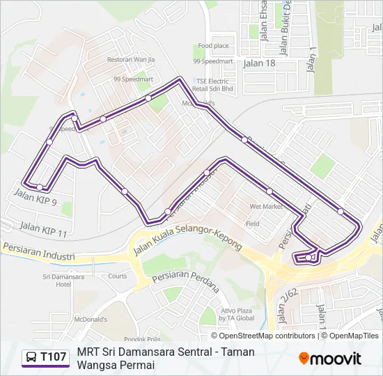 T107 Bus Line Map
