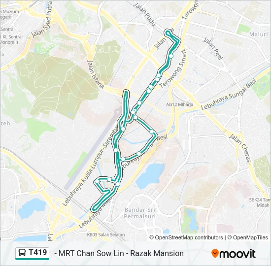 T419 Bus Line Map