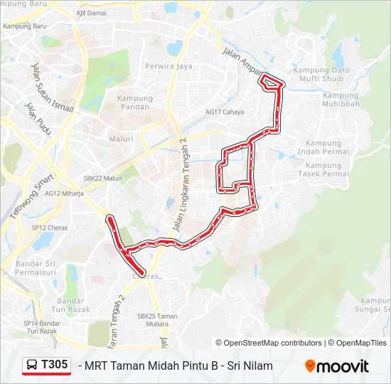 T305 Bus Line Map