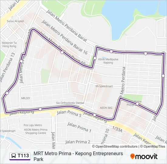 T113 Bus Line Map