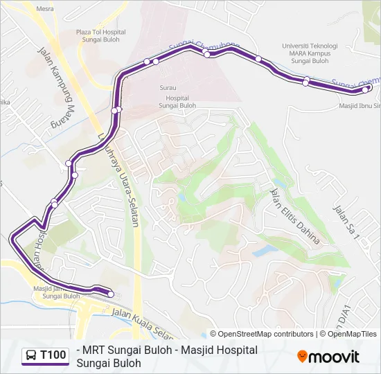 T100 Bus Line Map