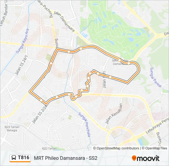 T816 Bus Line Map