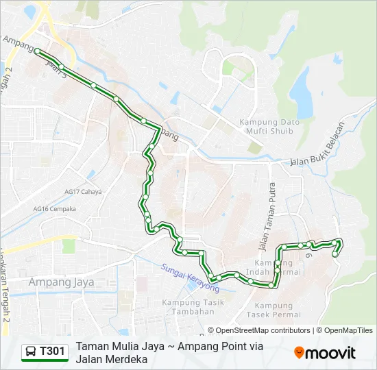 T301 Bus Line Map