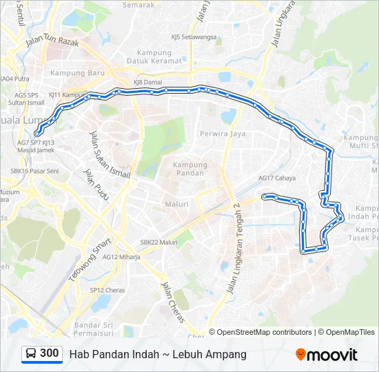 300 Bus Line Map
