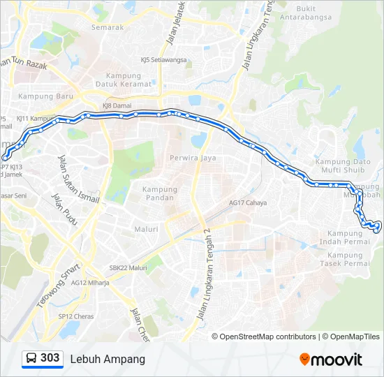 303 Bus Line Map