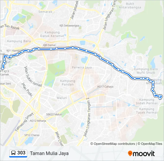 303 Bus Line Map