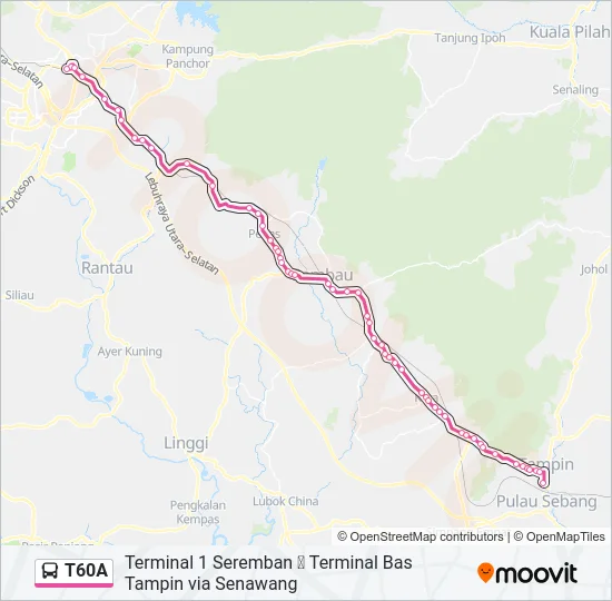 T60A Bus Line Map