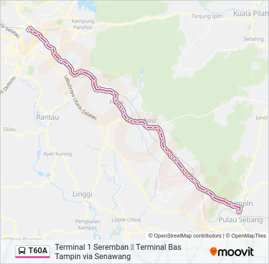 T60A Bus Line Map