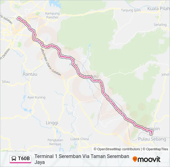 T60B Bus Line Map
