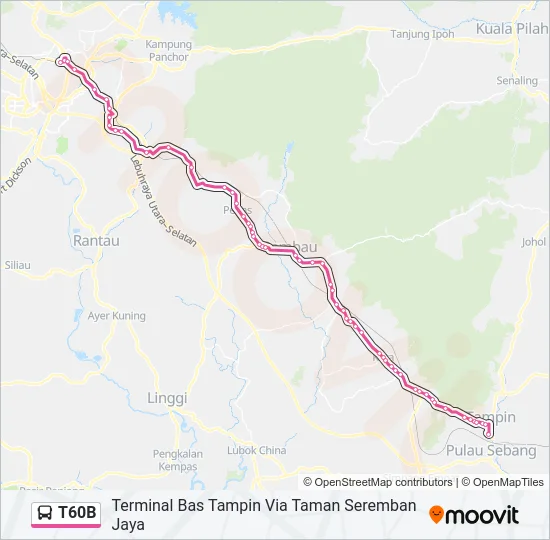 T60B Bus Line Map