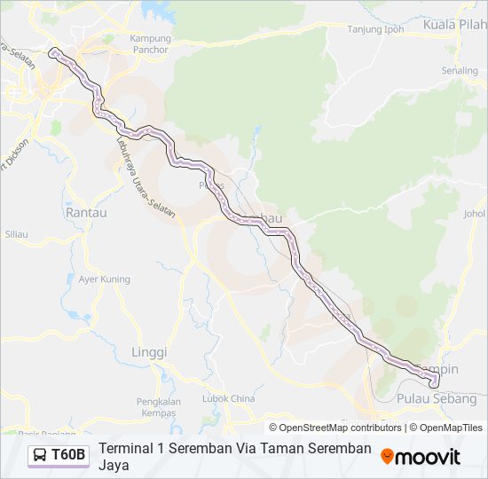 T60B bus Line Map