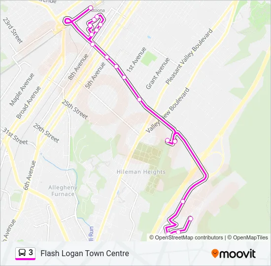 3 Bus Line Map
