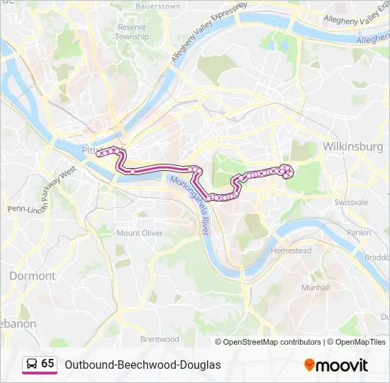 65 Route: Schedules, Stops & Maps - Outbound-Beechwood-Douglas (Updated)