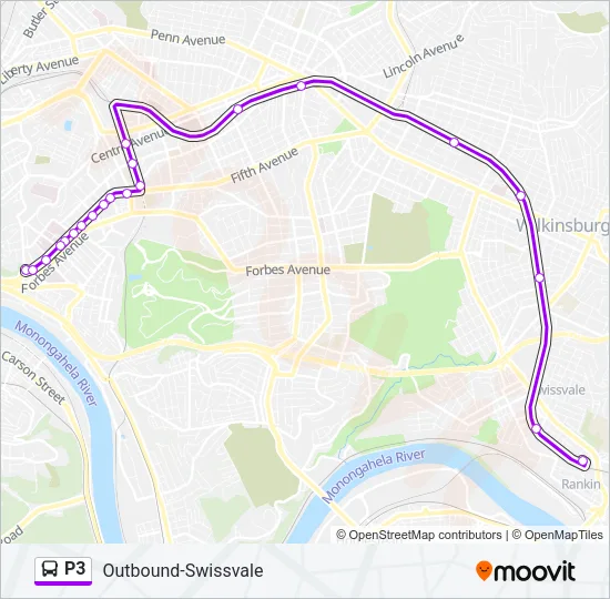 P3 Bus Line Map