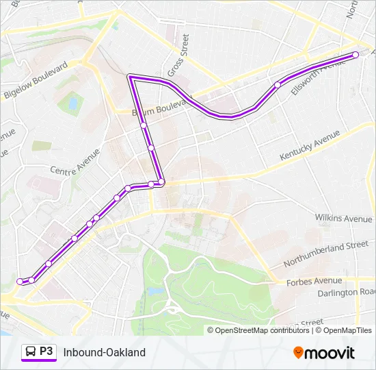 P3 Bus Line Map
