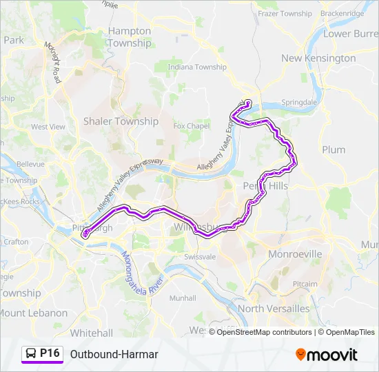 P16 Bus Line Map