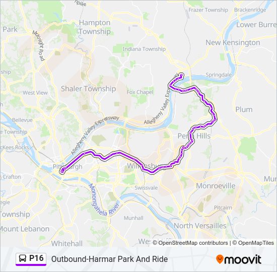 P16 Bus Line Map