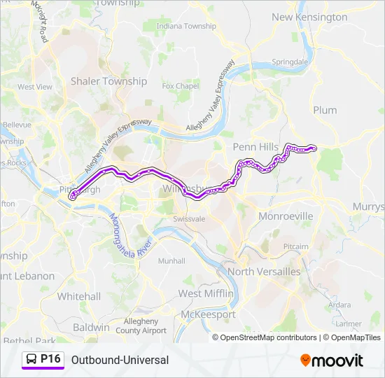 P16 Bus Line Map