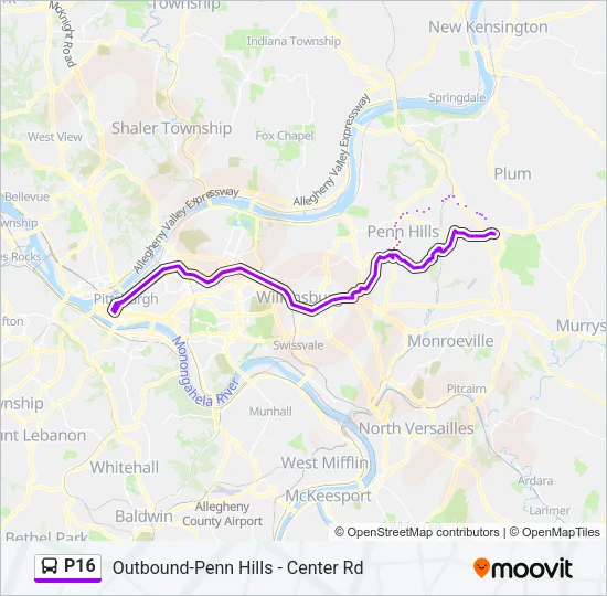 P16 Bus Line Map