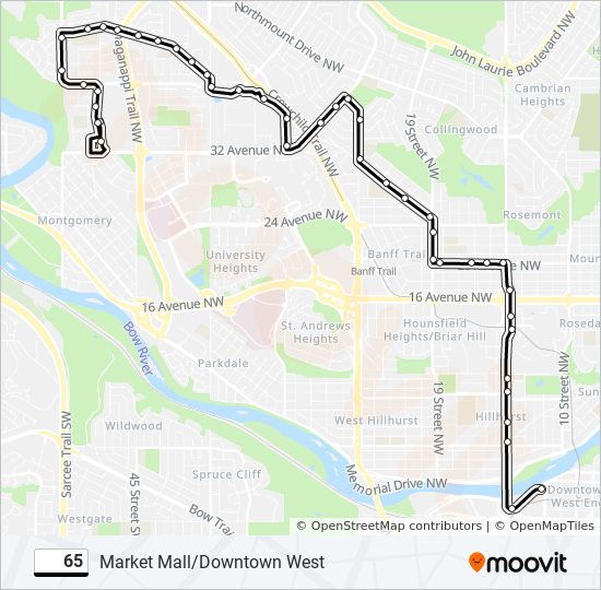 65 Route: Schedules, Stops & Maps - Market Mall (Updated)