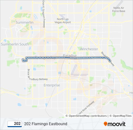 202 Route: Schedules, Stops & Maps - 202 Flamingo Eastbound (Updated)