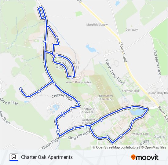 BLUE/PARKING EXPRESS bus Line Map