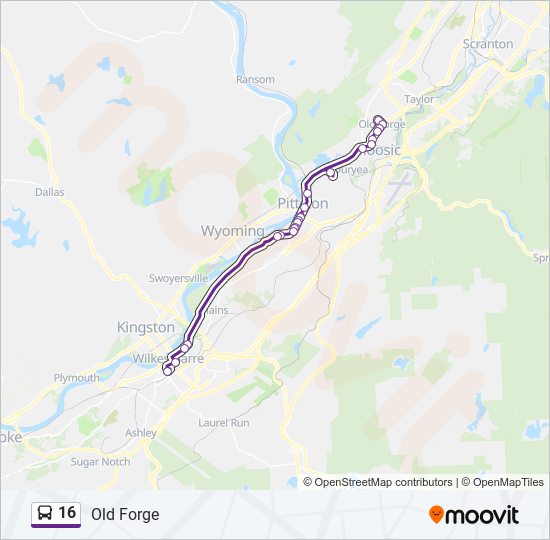 16 bus Line Map