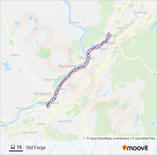 16 Bus Line Map