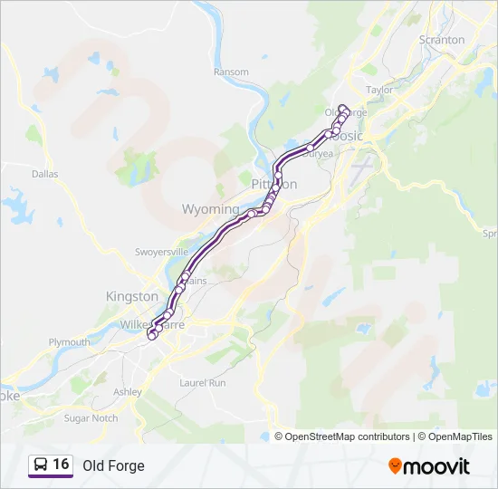 16 Bus Line Map