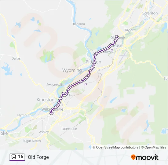16 Bus Line Map