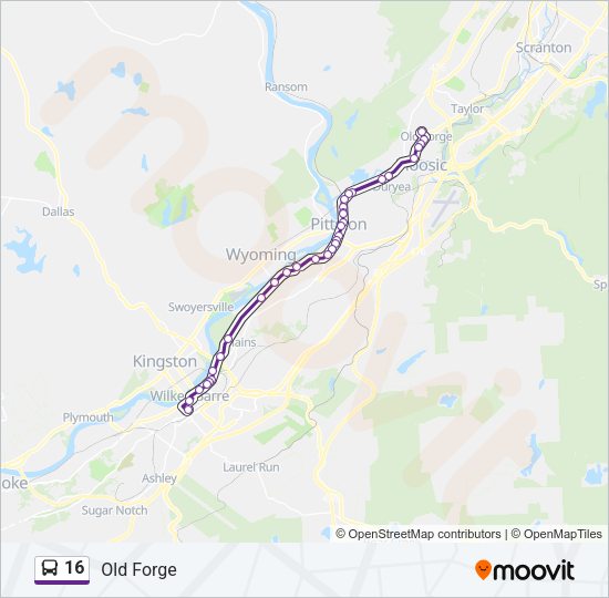 16 Bus Line Map