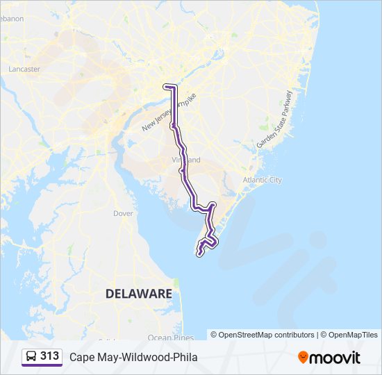 Mapa de 313 de autobús