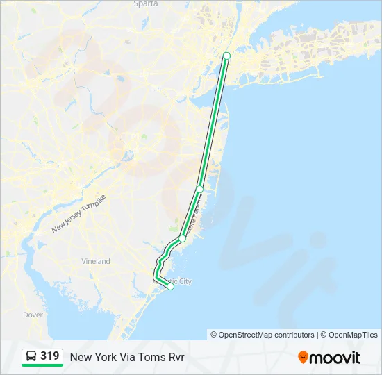 319 Bus Line Map