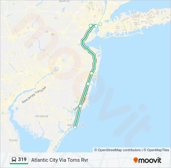 319 Bus Line Map