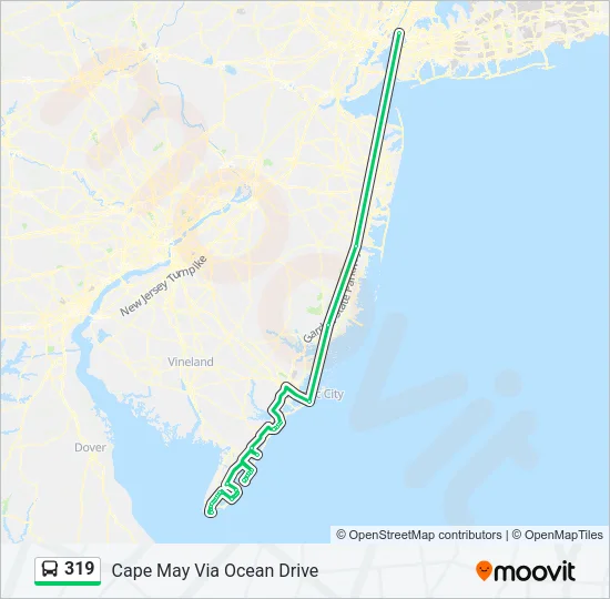 319 Bus Line Map