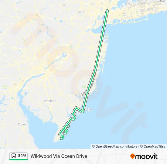 319 Route: Schedules, Stops & Maps - Wildwood Via Ocean Drive