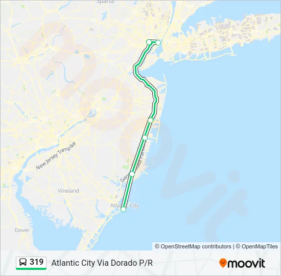 319 Bus Line Map