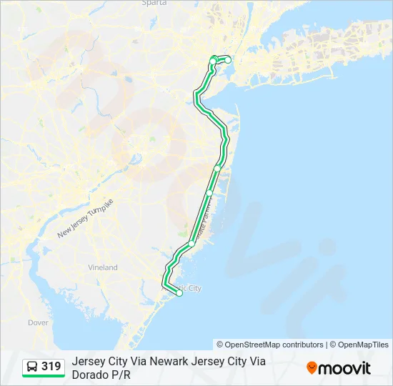 319 Bus Line Map