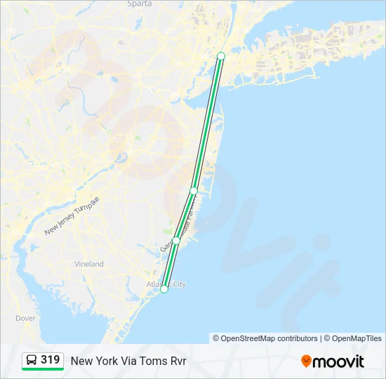 319 Bus Line Map