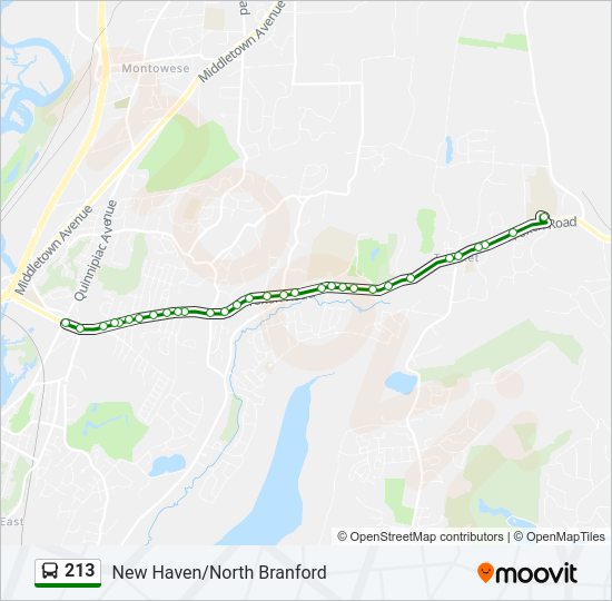 213 Bus Line Map
