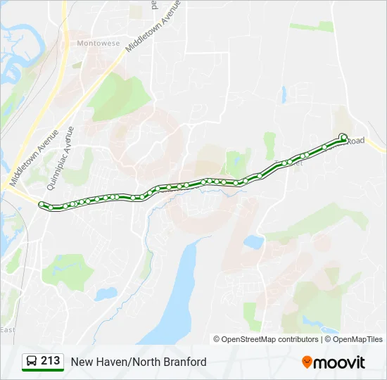 213 Bus Line Map