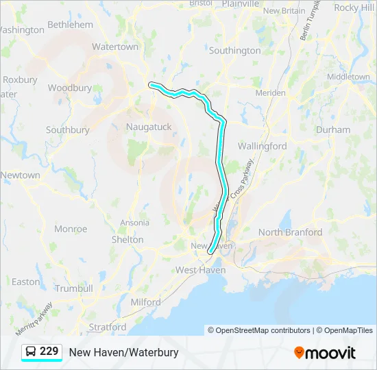 229 Bus Line Map