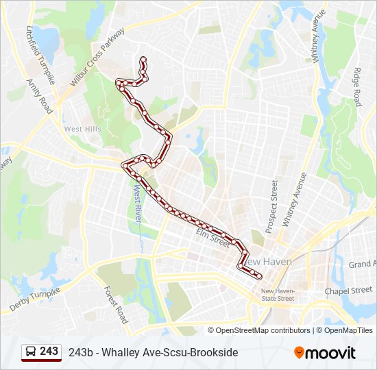 Mapa de 243 de autobús